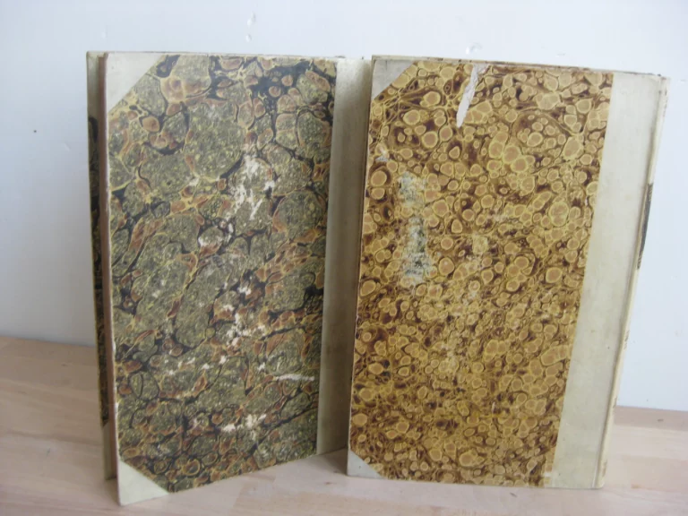 The History of Tom Jones, a foundling, 2 tomes, complet The History of Tom Jones, a foundling, 2 tomes, complet