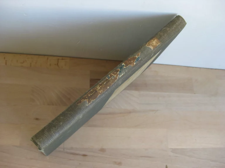 Chansons et dits artésiens du XIIIème siècle. Édition originale Chansons et dits artésiens du XIIIème siècle. Édition originale