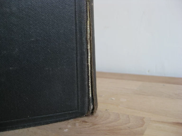 La merveilleuse découverte de Raffles Haw - Première édition en français