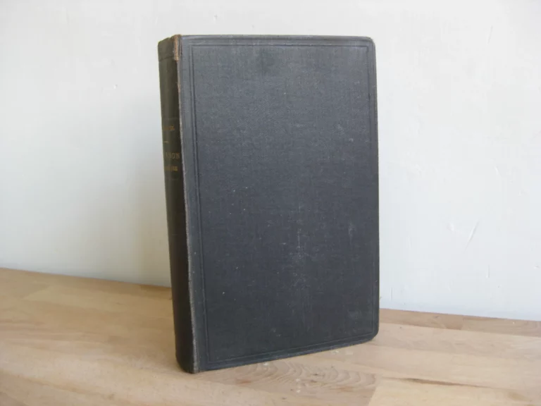 La raison passionnée : petites études - Joseph Caraguel, Première édition La raison passionnée : petites études - Joseph Caraguel, Première édition