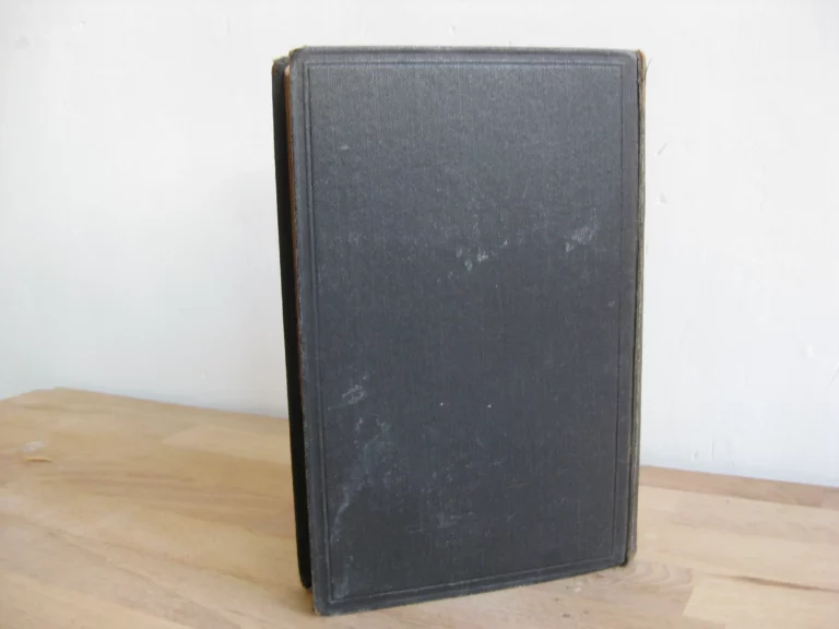 La raison passionnée : petites études - Joseph Caraguel, Première édition La raison passionnée : petites études - Joseph Caraguel, Première édition