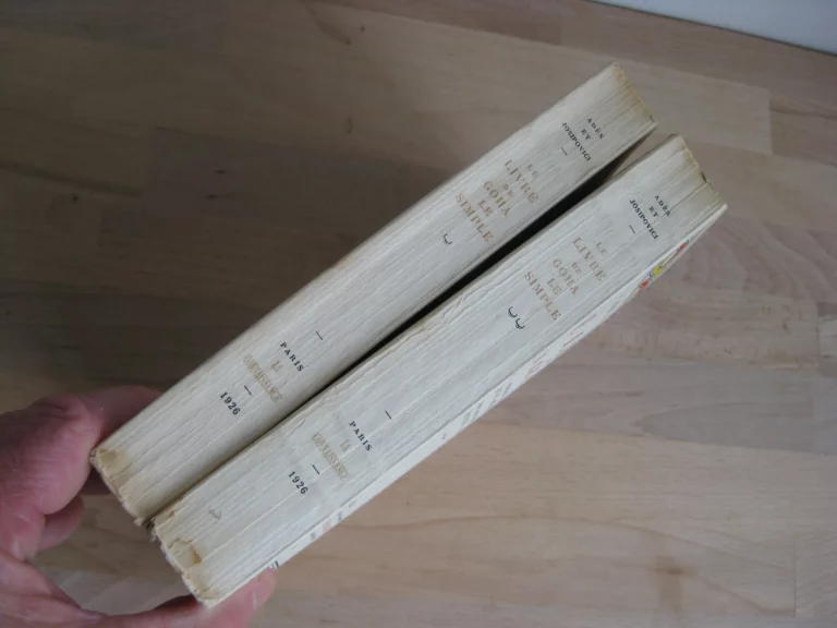 Le livre de Goha le simple. 2 vols. - A.  Ades et A. Josipovici.
