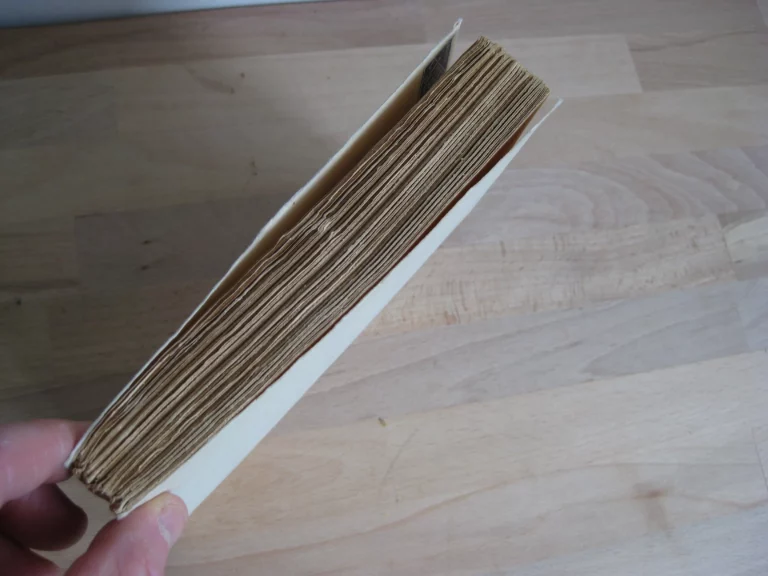 Les délices de la table ou les quatre saisons gourmandes, Prosper Montagné Les délices de la table ou les quatre saisons gourmandes, Prosper Montagné