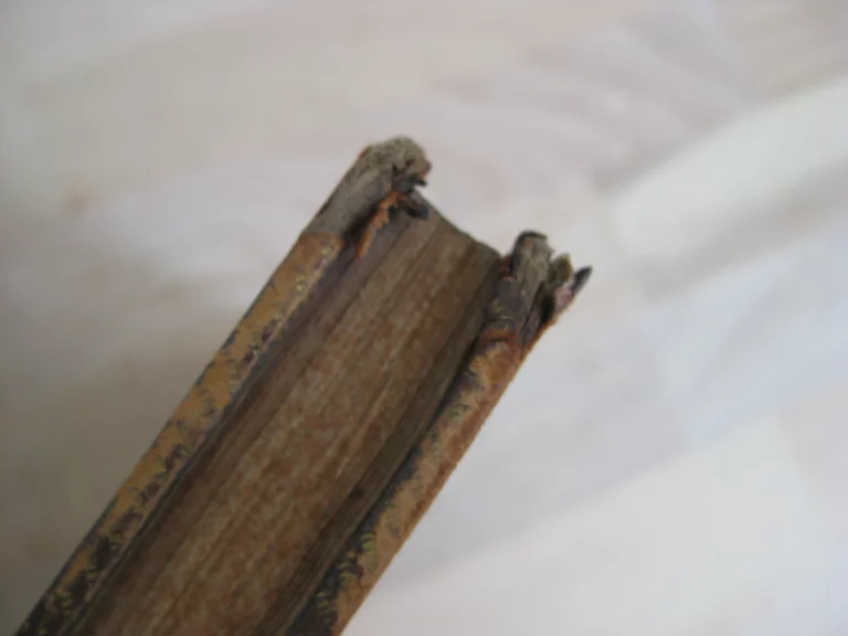 Les jardins. Poème. Nouvelle édition - Illustrée d'un frontispice Les jardins. Poème. Nouvelle édition - Illustrée d'un frontispice