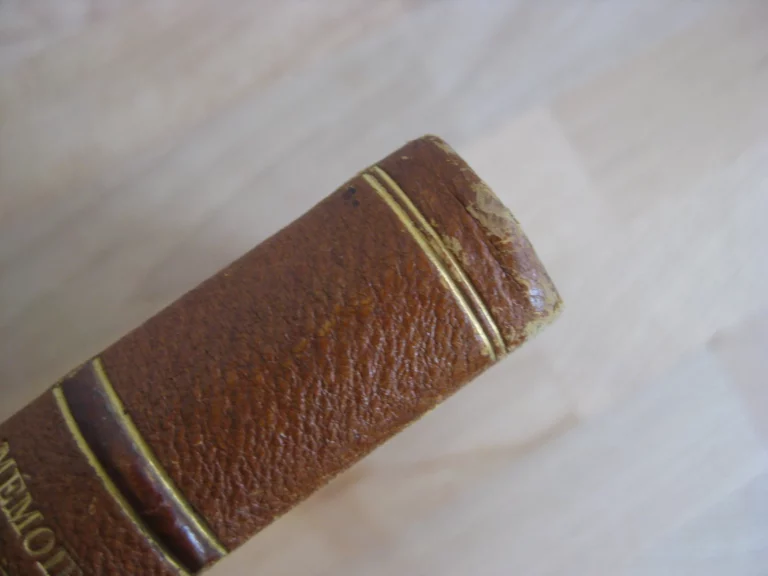 Mémoires d’une femme de chambre écrits par elle-même en 1786 Mémoires d’une femme de chambre écrits par elle-même en 1786