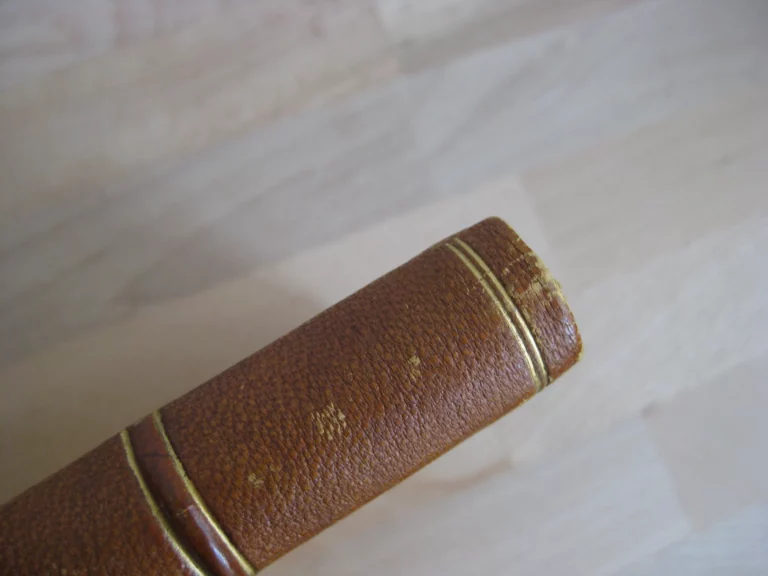 Mémoires d’une femme de chambre écrits par elle-même en 1786 Mémoires d’une femme de chambre écrits par elle-même en 1786