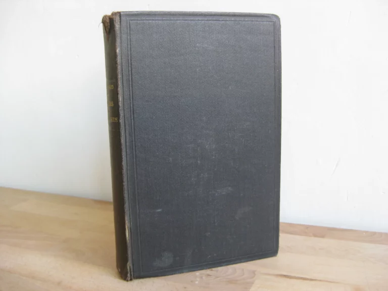 Roubles et roublards. Voyage aux pays russes - Première édition