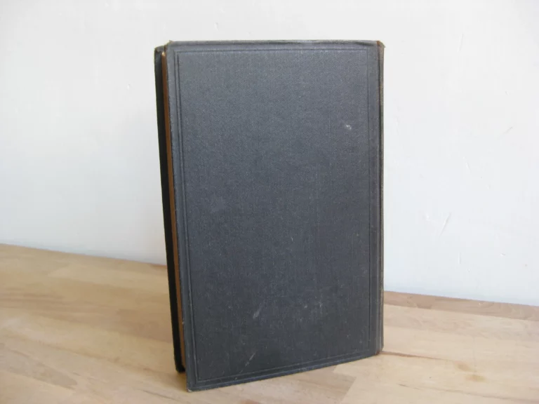 Roubles et roublards. Voyage aux pays russes - Première édition