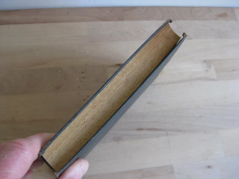 Roubles et roublards. Voyage aux pays russes - Première édition