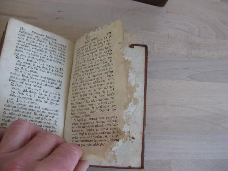 Curationes morborum 2 tomes, complet - Jacques Lazerme Curationes morborum 2 tomes, complet - Jacques Lazerme