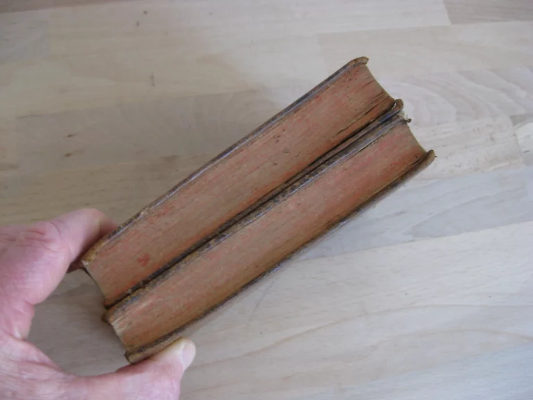 Curationes morborum 2 tomes, complet - Jacques Lazerme Curationes morborum 2 tomes, complet - Jacques Lazerme