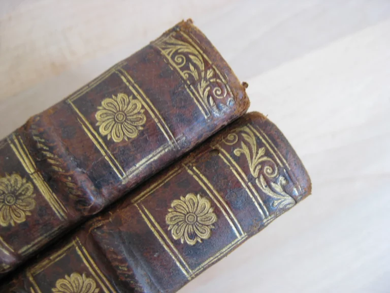 Curationes morborum 2 tomes, complet - Jacques Lazerme Curationes morborum 2 tomes, complet - Jacques Lazerme