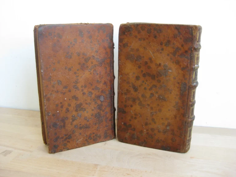 Curationes morborum 2 tomes, complet - Jacques Lazerme Curationes morborum 2 tomes, complet - Jacques Lazerme