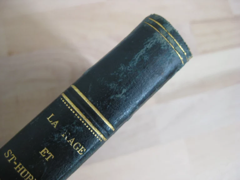 La rage & Saint-Hubert. Suivi de Notice historique sur l’Ordre de Saint-Hubert du duché de Bar La rage & Saint-Hubert. Suivi de Notice historique sur l’Ordre de Saint-Hubert du duché de Bar