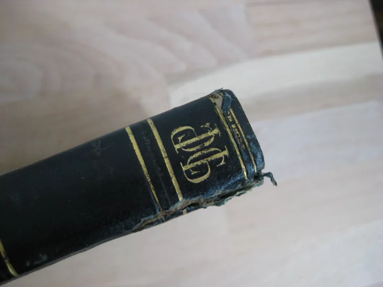 La rage & Saint-Hubert. Suivi de Notice historique sur l’Ordre de Saint-Hubert du duché de Bar La rage & Saint-Hubert. Suivi de Notice historique sur l’Ordre de Saint-Hubert du duché de Bar