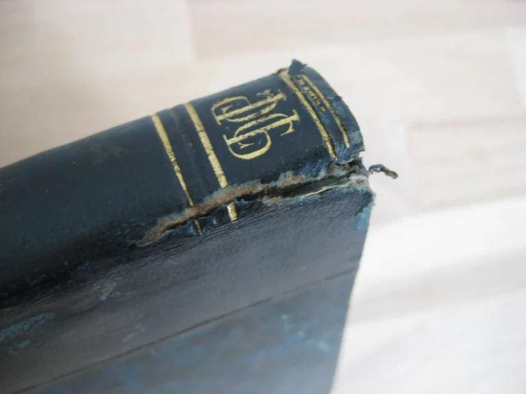 La rage & Saint-Hubert. Suivi de Notice historique sur l’Ordre de Saint-Hubert du duché de Bar La rage & Saint-Hubert. Suivi de Notice historique sur l’Ordre de Saint-Hubert du duché de Bar