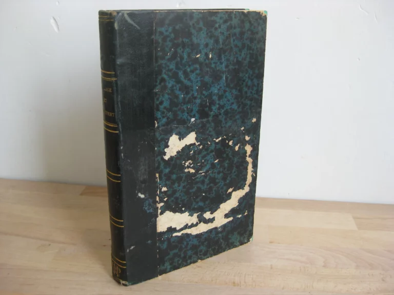 La rage & Saint-Hubert. Suivi de Notice historique sur l’Ordre de Saint-Hubert du duché de Bar La rage & Saint-Hubert. Suivi de Notice historique sur l’Ordre de Saint-Hubert du duché de Bar