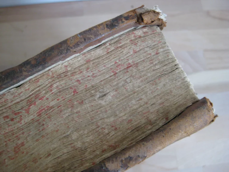 Q. Septimii Florentis Tertulliani Opera - 1664 Q. Septimii Florentis Tertulliani Opera - 1664