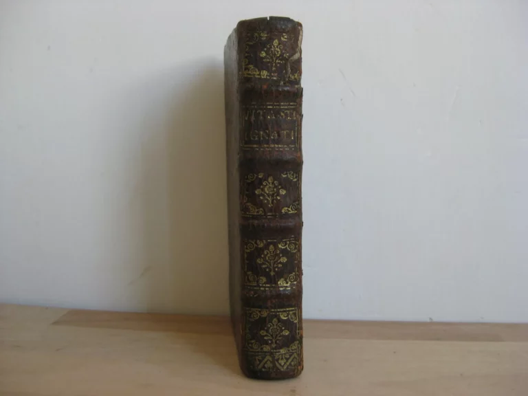 Vita St Ignatii, fondatoris societatis Jesu - Ioanne Petro Maffeio Vita St Ignatii, fondatoris societatis Jesu - Ioanne Petro Maffeio