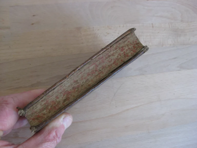 Vita St Ignatii, fondatoris societatis Jesu - Ioanne Petro Maffeio Vita St Ignatii, fondatoris societatis Jesu - Ioanne Petro Maffeio