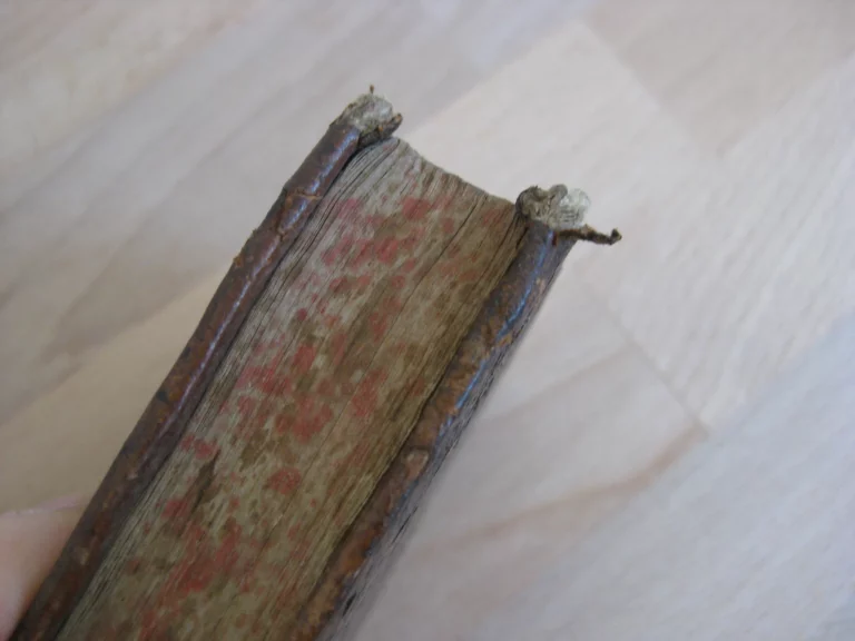 Vita St Ignatii, fondatoris societatis Jesu - Ioanne Petro Maffeio Vita St Ignatii, fondatoris societatis Jesu - Ioanne Petro Maffeio