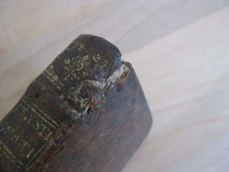 Vita St Ignatii, fondatoris societatis Jesu - Ioanne Petro Maffeio Vita St Ignatii, fondatoris societatis Jesu - Ioanne Petro Maffeio