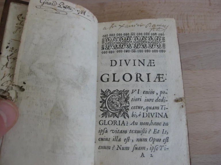 Vita St Ignatii, fondatoris societatis Jesu - Ioanne Petro Maffeio Vita St Ignatii, fondatoris societatis Jesu - Ioanne Petro Maffeio