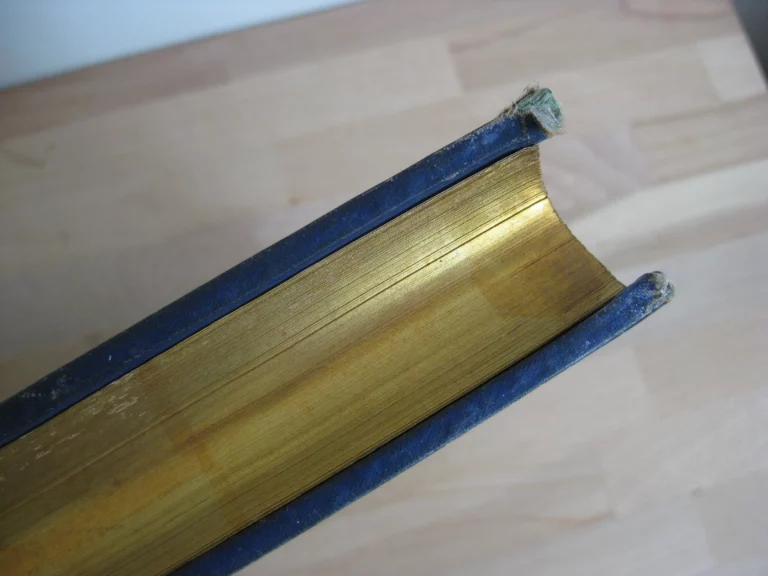 À Suze. Journal des fouilles. 1884 -1886 - Mme Jane Dieulafoy À Suze. Journal des fouilles. 1884 -1886 - Mme Jane Dieulafoy