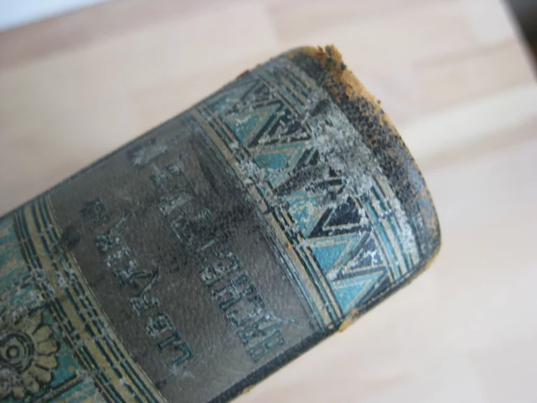 À Suze. Journal des fouilles. 1884 -1886 - Mme Jane Dieulafoy À Suze. Journal des fouilles. 1884 -1886 - Mme Jane Dieulafoy