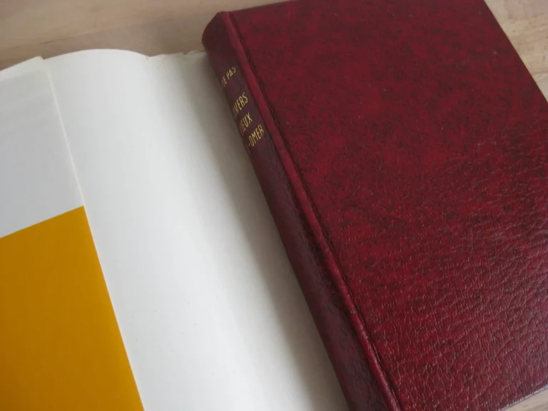 A travers le vieux Saint-Omer - Justin de Pas A travers le vieux Saint-Omer - Justin de Pas