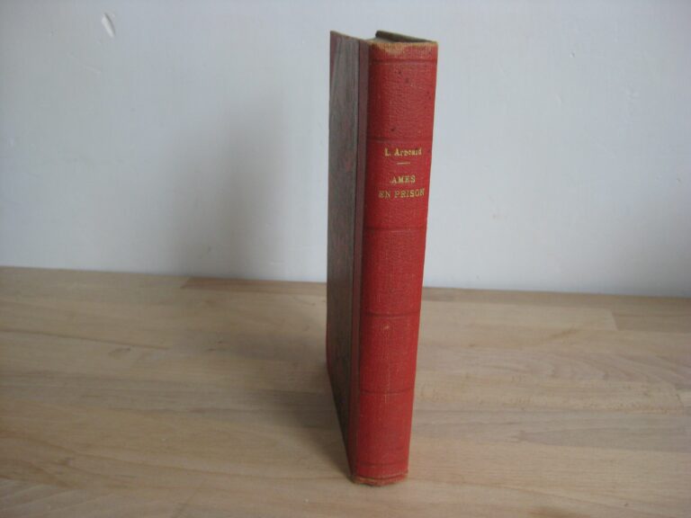 Âmes en prison - L’école française des sourdes-muettes-aveugles et leurs sœurs des deux mondes Âmes en prison - L’école française des sourdes-muettes-aveugles et leurs sœurs des deux mondes