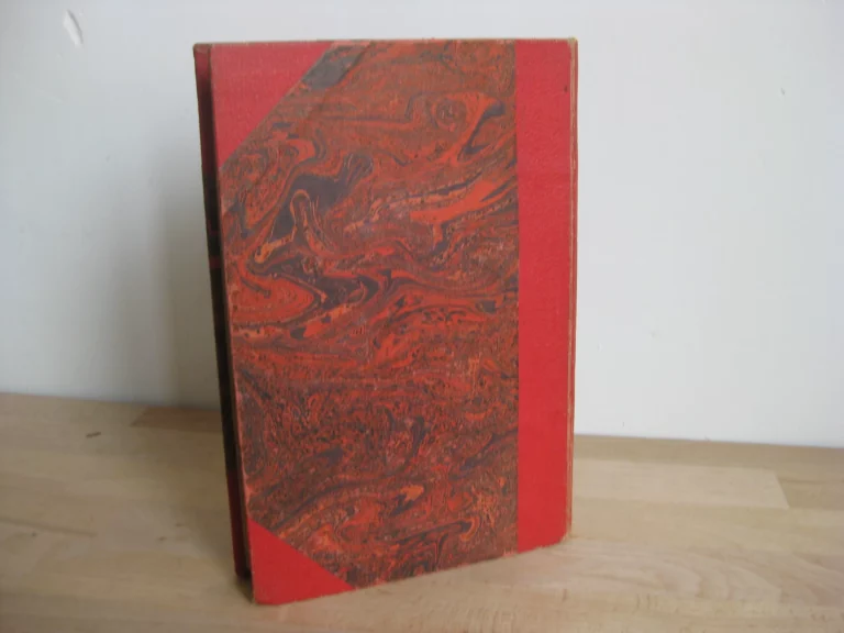 Âmes en prison - L’école française des sourdes-muettes-aveugles et leurs sœurs des deux mondes