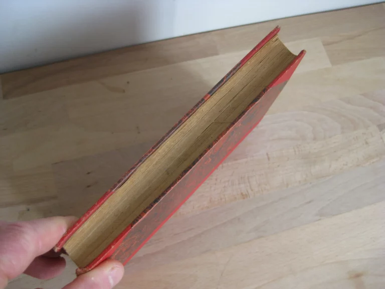 Âmes en prison - L’école française des sourdes-muettes-aveugles et leurs sœurs des deux mondes