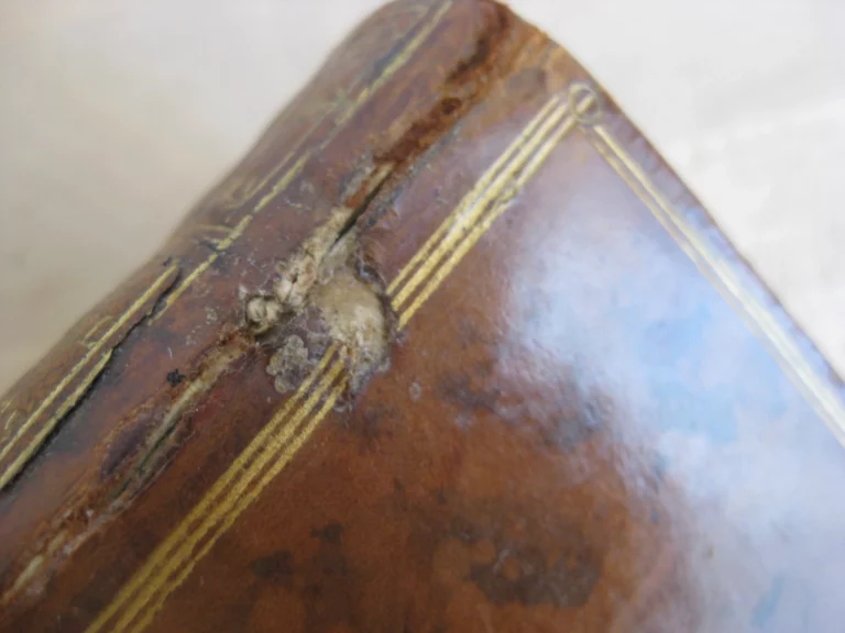 De vita excellentium imperatorum - Cornelius Nepos