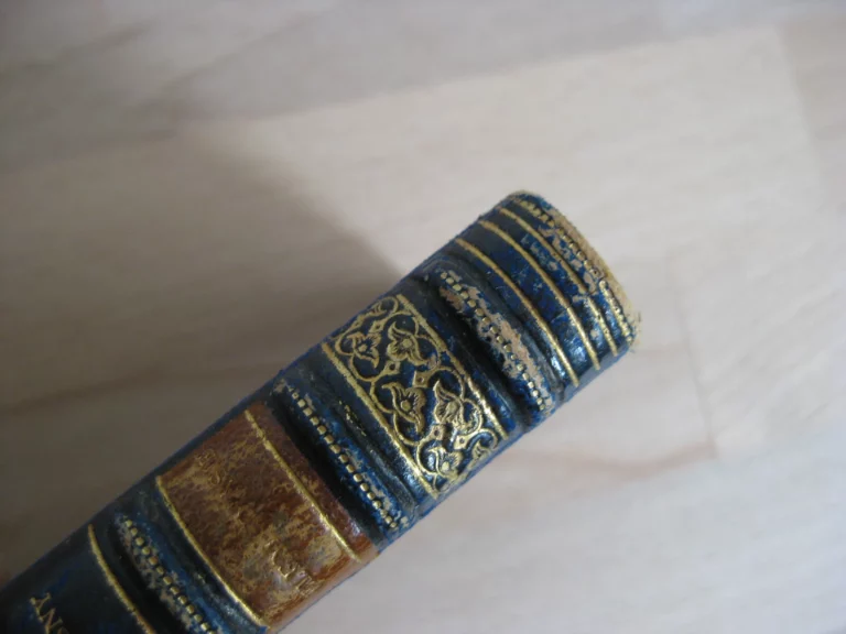 Elem d’Asie. Idylle des temps primitifs, J.-H. Rosny / Mittis (ill.) Elem d’Asie. Idylle des temps primitifs, J.-H. Rosny / Mittis (ill.)