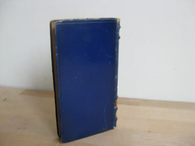 Elem d’Asie. Idylle des temps primitifs, J.-H. Rosny / Mittis (ill.) Elem d’Asie. Idylle des temps primitifs, J.-H. Rosny / Mittis (ill.)