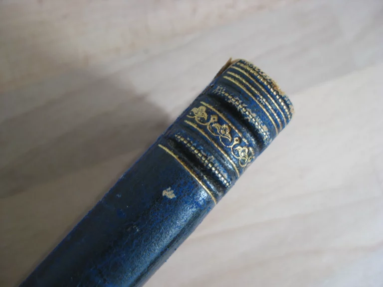 Elem d’Asie. Idylle des temps primitifs, J.-H. Rosny / Mittis (ill.) Elem d’Asie. Idylle des temps primitifs, J.-H. Rosny / Mittis (ill.)