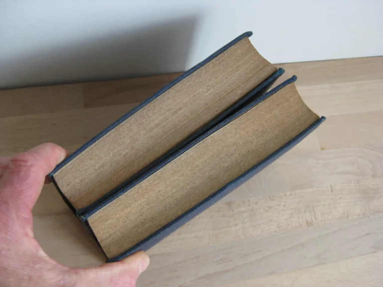 Histoire de France, 2 volumes. - Victor Duruy