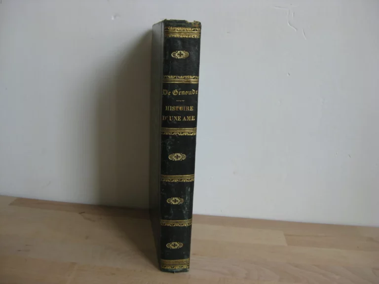 Histoire d'une âme suivi de quelques fragments sur Le Plessis-aux-Tournelles.