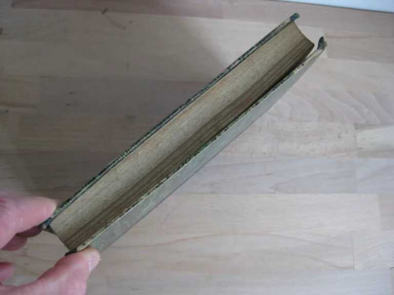 Histoire d'une âme suivi de quelques fragments sur Le Plessis-aux-Tournelles.