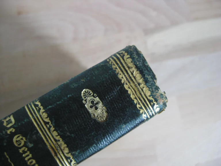 Histoire d'une âme suivi de quelques fragments sur Le Plessis-aux-Tournelles.