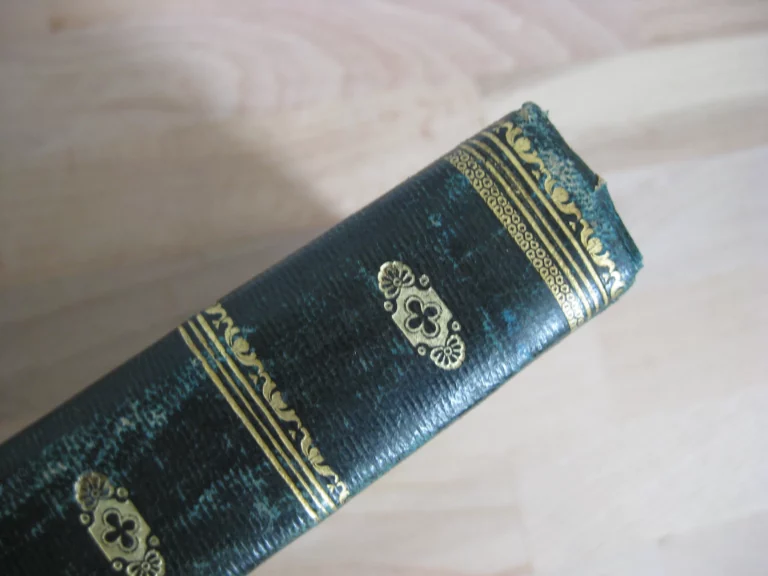 Histoire d'une âme suivi de quelques fragments sur Le Plessis-aux-Tournelles.