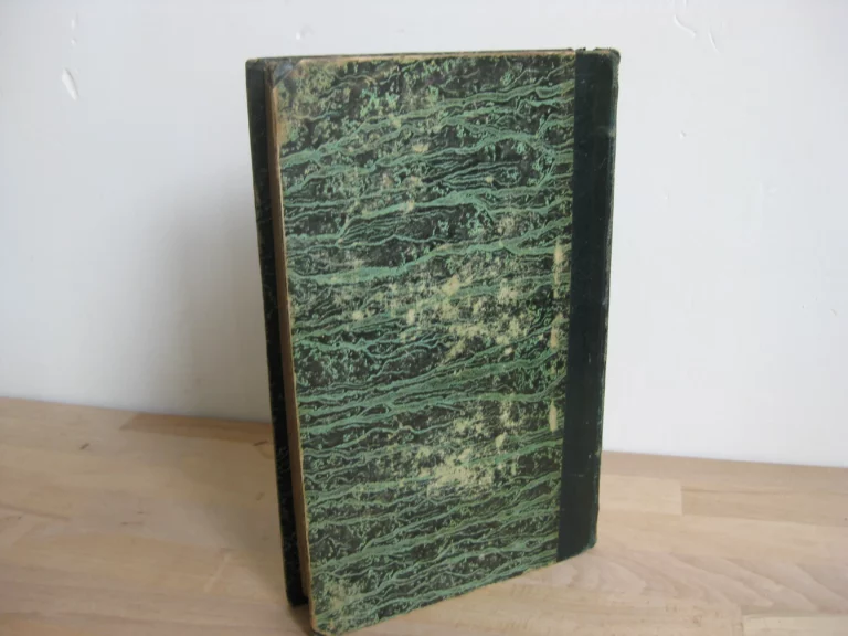 Histoire d'une âme suivi de quelques fragments sur Le Plessis-aux-Tournelles.