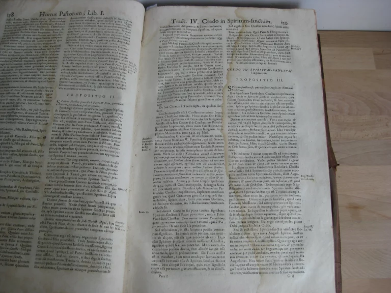 Hortus pastorum Sacrae Doctrinae floribus polymitus