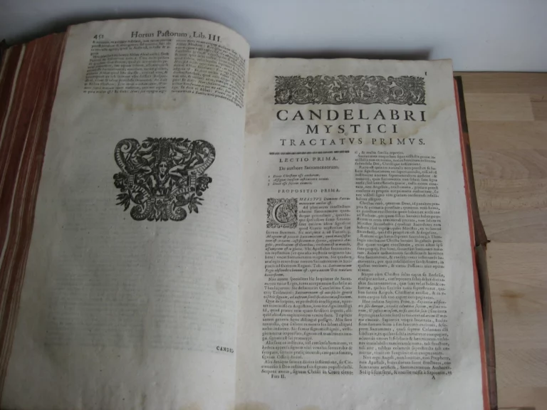 Hortus pastorum Sacrae Doctrinae floribus polymitus