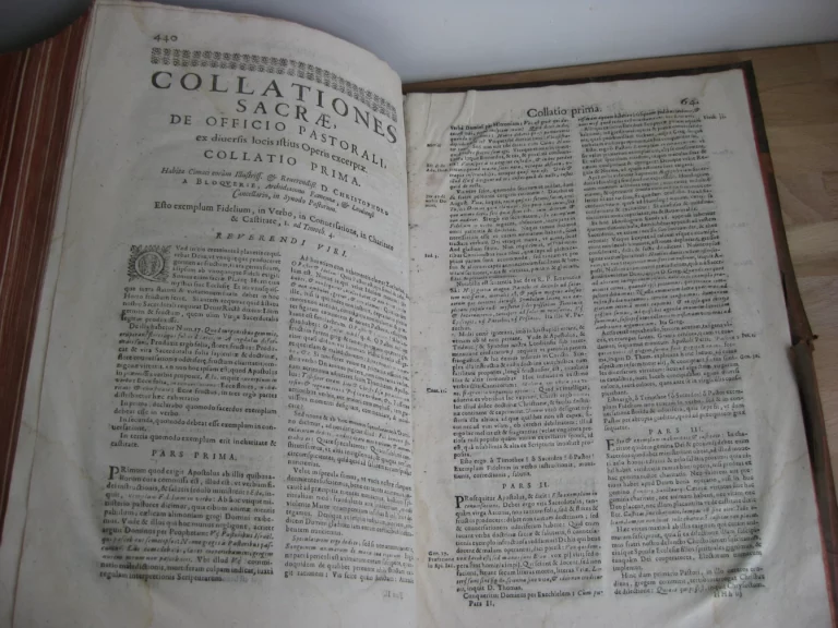 Hortus pastorum Sacrae Doctrinae floribus polymitus