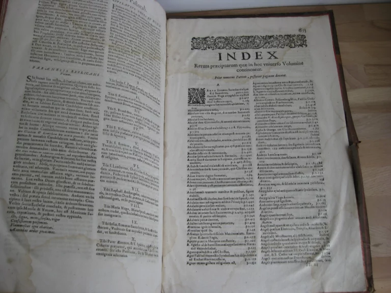 Hortus pastorum Sacrae Doctrinae floribus polymitus