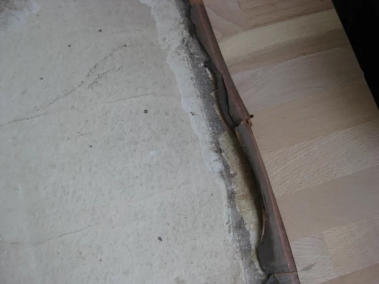 Hortus pastorum Sacrae Doctrinae floribus polymitus