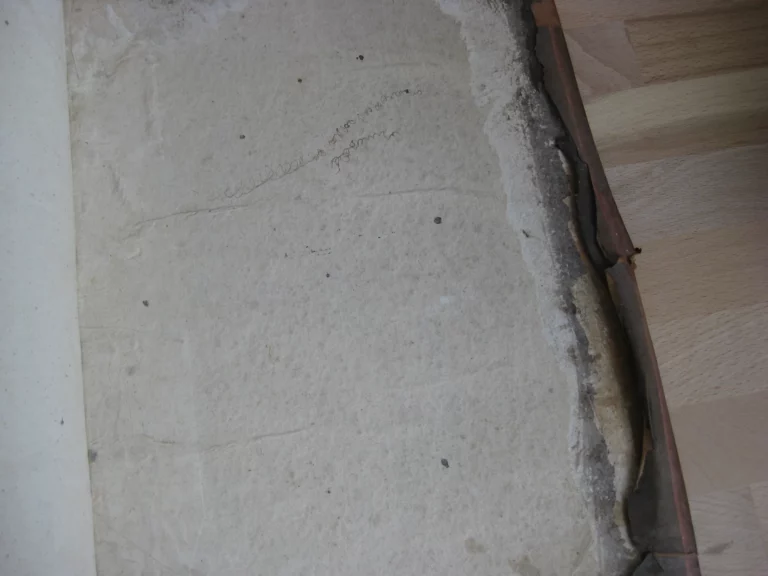 Hortus pastorum Sacrae Doctrinae floribus polymitus