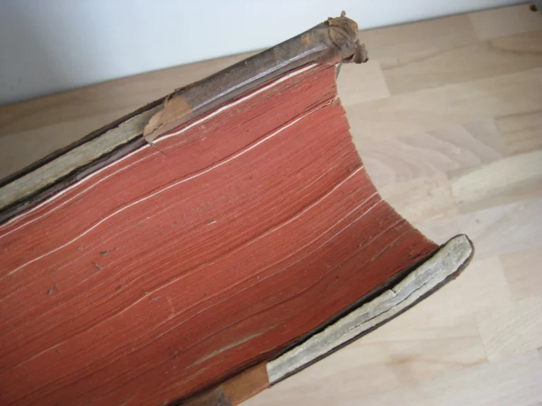 Hortus pastorum Sacrae Doctrinae floribus polymitus